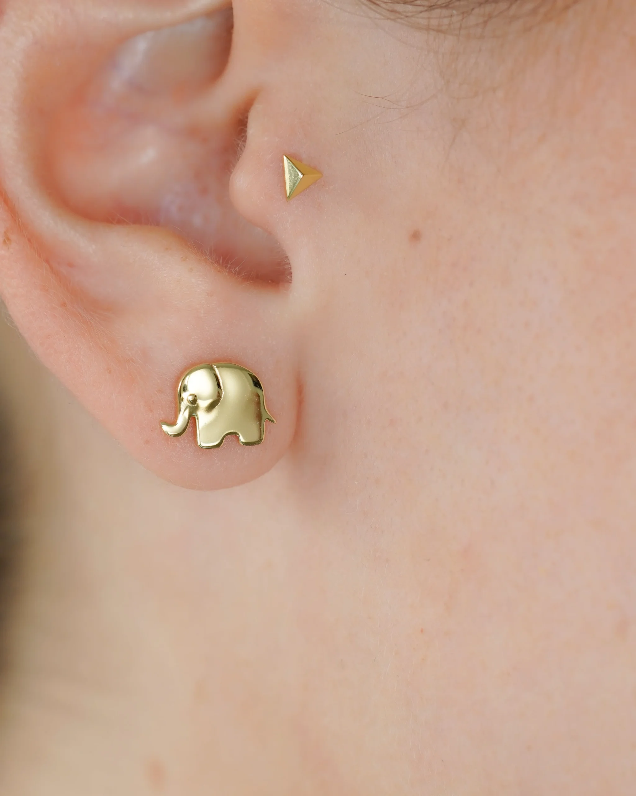 TOPO ELEFANTE - Image 2